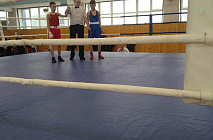 11 - 12   .            (2009-2010 ..).